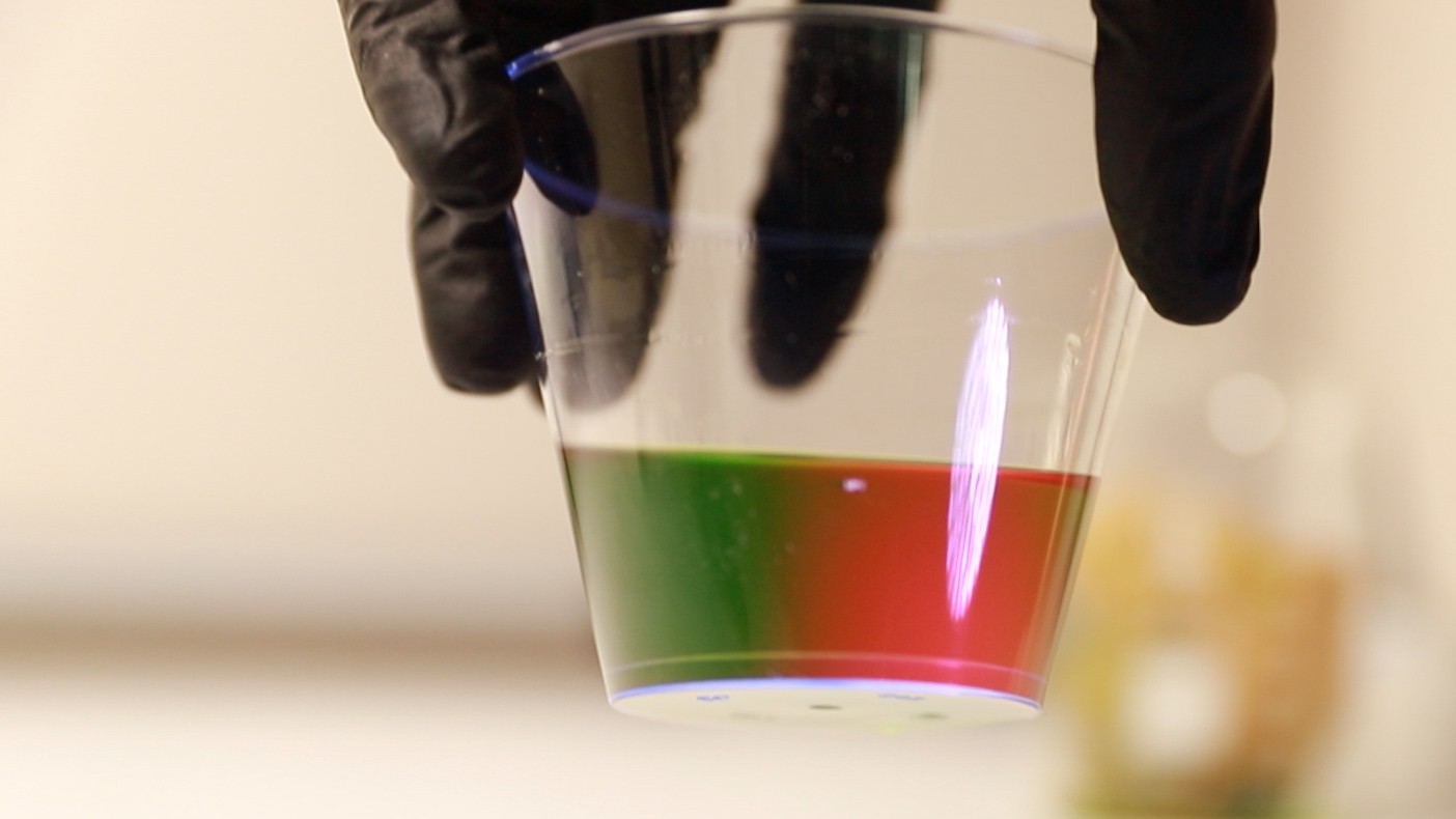 Fluorescence of chlorophyll with UV light MSU SMACS